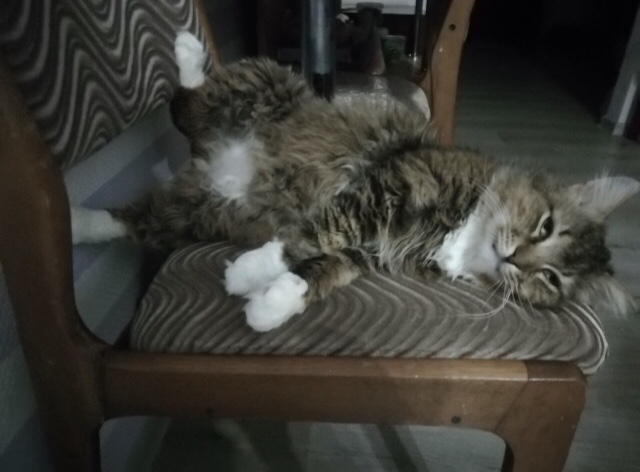 EA46A84C-3712-42A0-9666-1DC704229F56