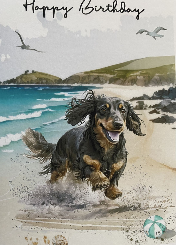 [Image: IMG-0611.jpg]