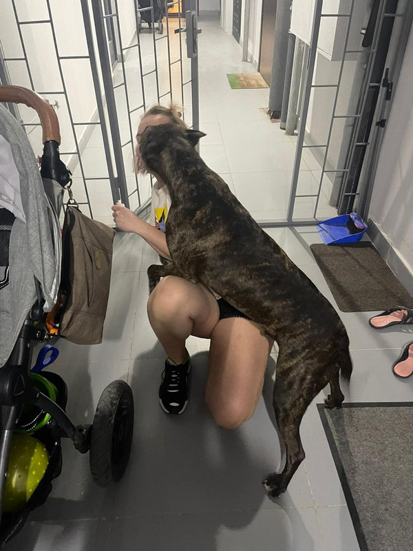 9305633C-E85E-45C8-A98B-3196C8B4585A