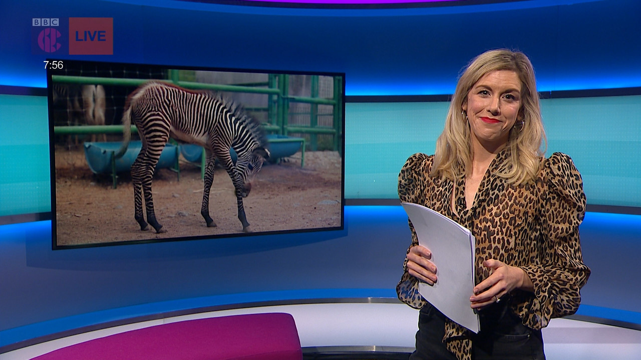 Newsround_20211025_07450755.ts_snapshot_12.02.385