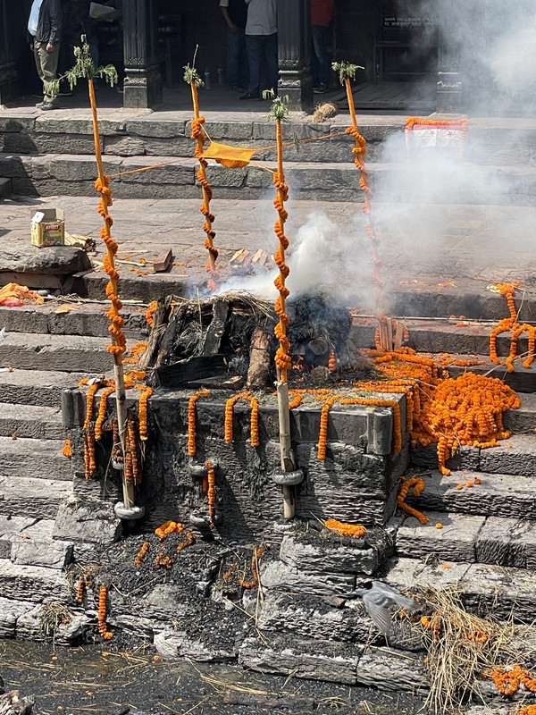 fpt57NxkQyKc9SUF%lM0qw