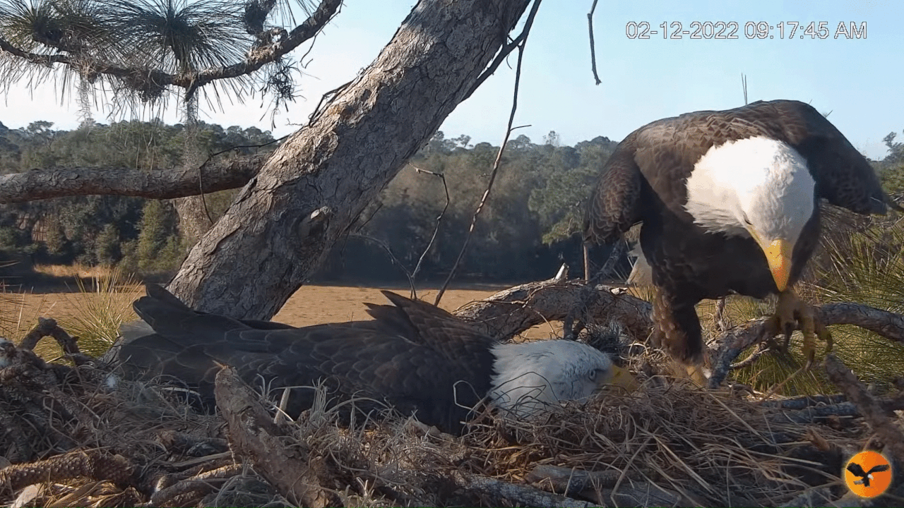 Webp.net-gifmaker (12)