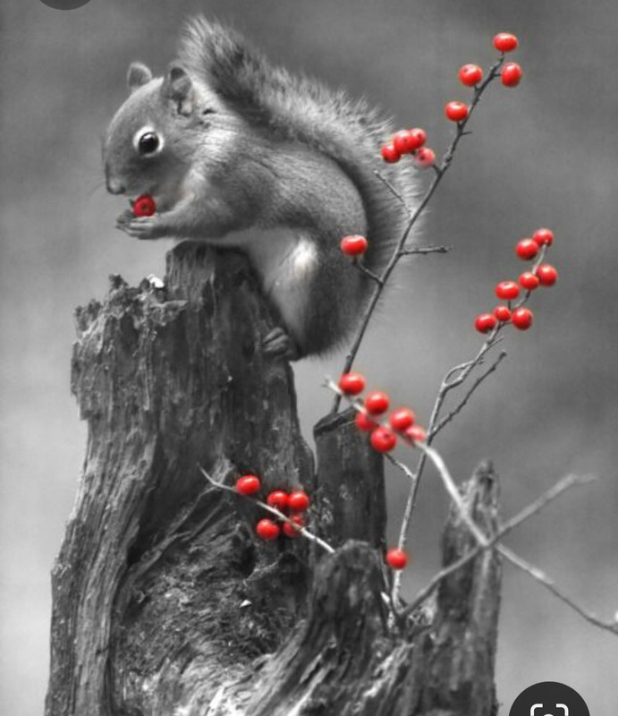 Screenshot_20230409_230304_Pinterest