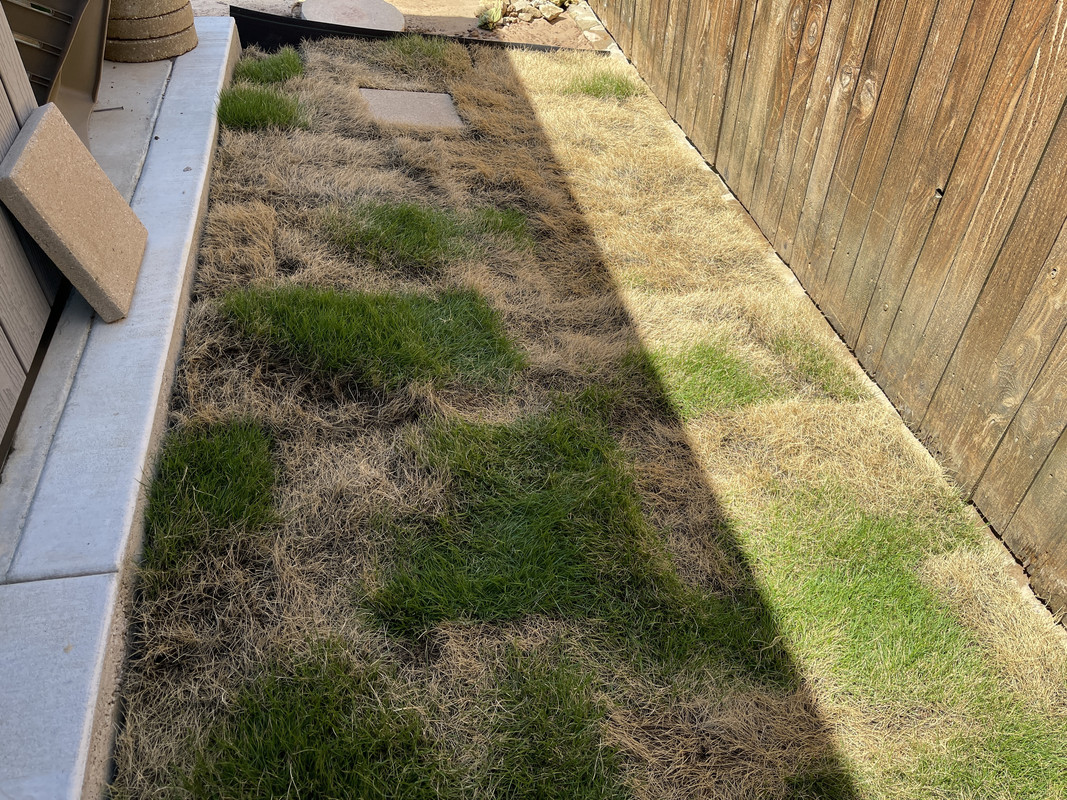 ED8453D5-EA29-4725-9277-375A1045F9CF