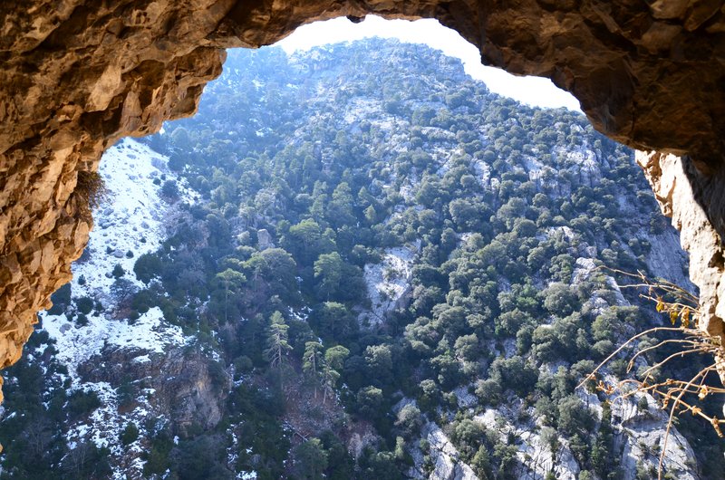 RUTA RIO BOROSA-12-3-2016-JAEN - Paseando por España-1991/2016 (136)