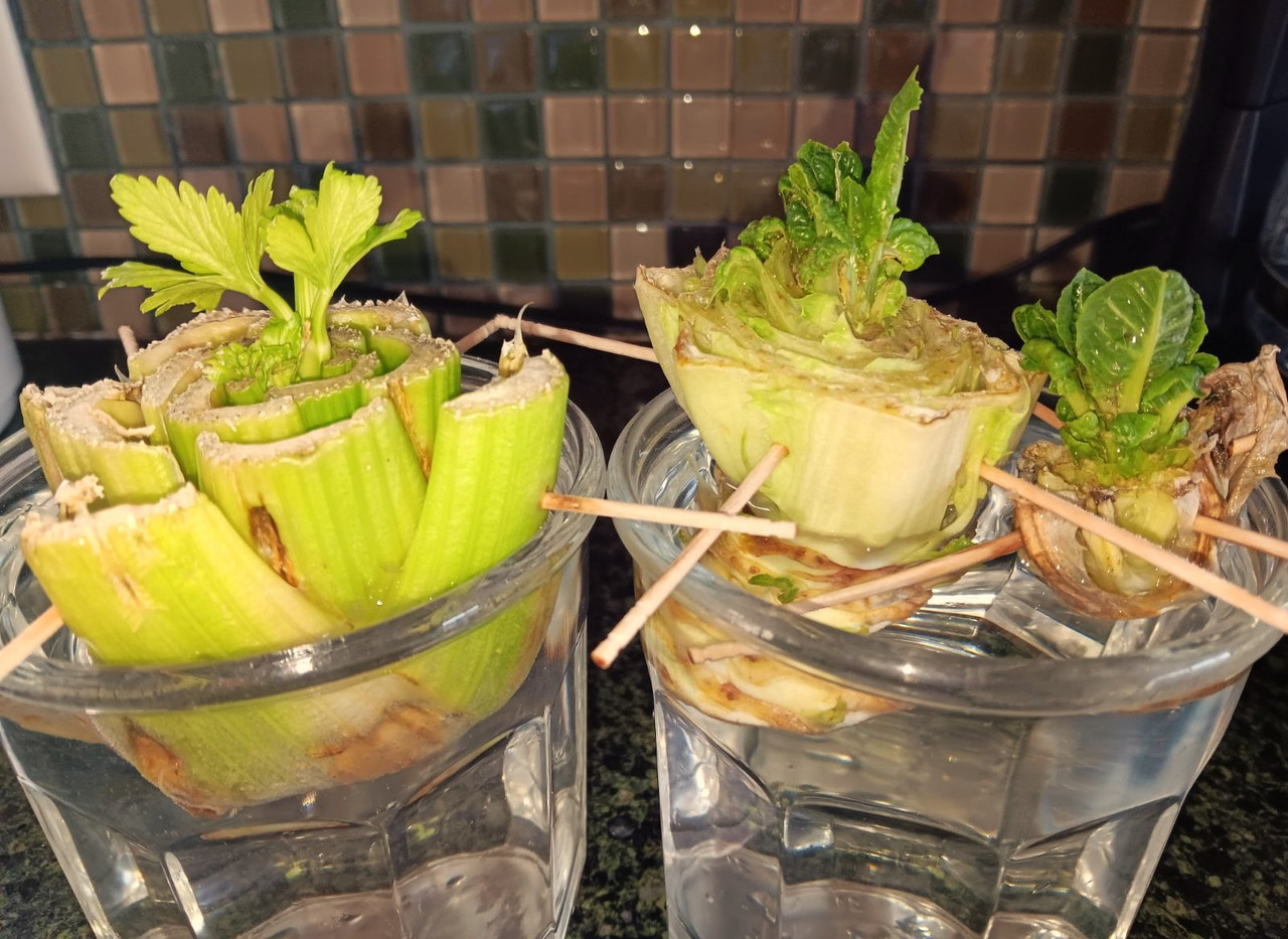 0-02-01-cc4677fc4cf6f5f65badc4d36b1ccee1f63dd58d32e819871995218b5df639f4-9f658651e77a9583