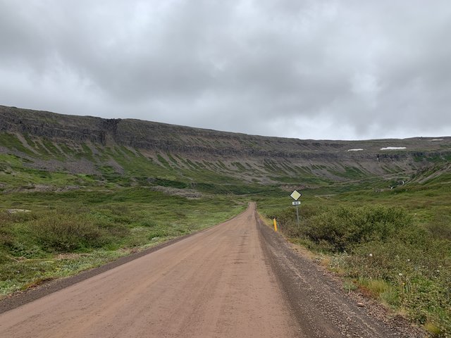 Islandia completa en 17 días con Landmannalaugar y fiordos Este y Oeste - Blogs de Islandia - DIA 11 JULIO/22 DESTINO LATRABJARG A VER FRAILECILLOS (6)