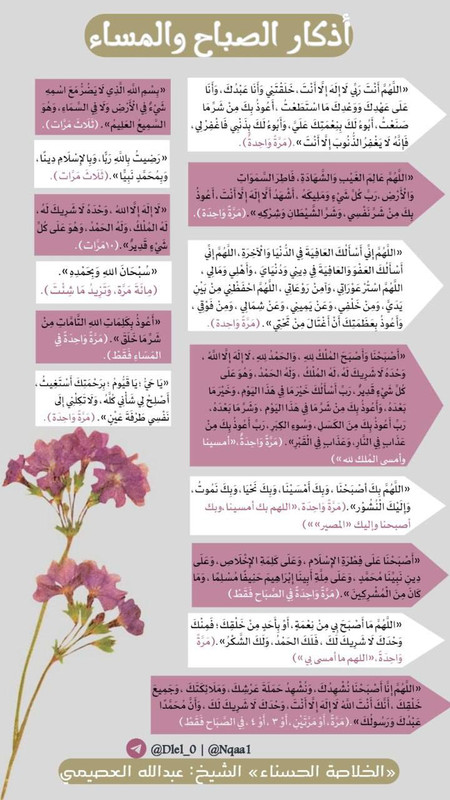 IMG_20240223_152519_584