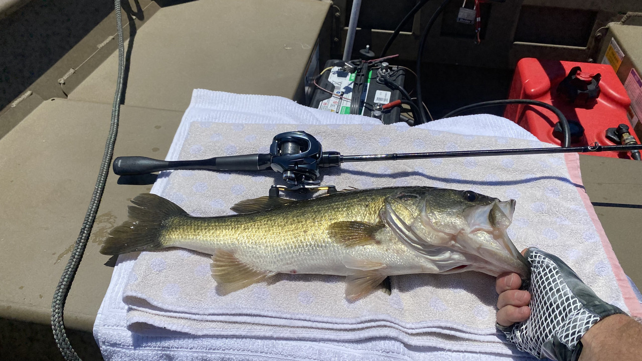 8CBA3979-7DC2-4745-8815-092711B0A890