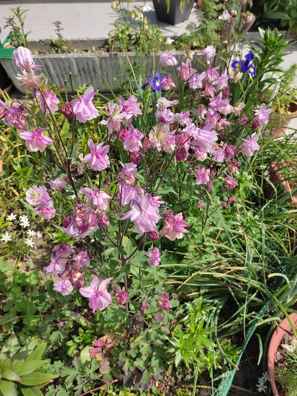 [Image: IMG-20220505-133526.jpg]