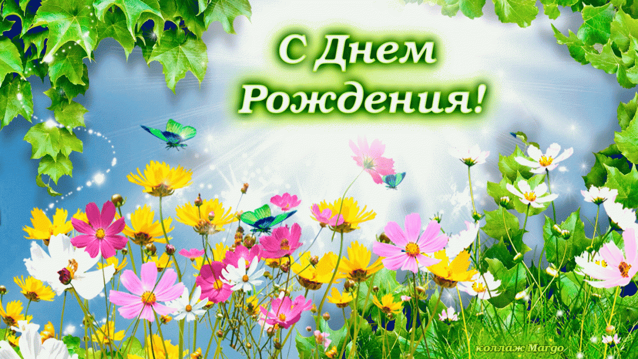 https://i.postimg.cc/pTn54MNM/otkritka-s-polevimi-cvetami-s-dnem-rozhdeniya-orig.gif