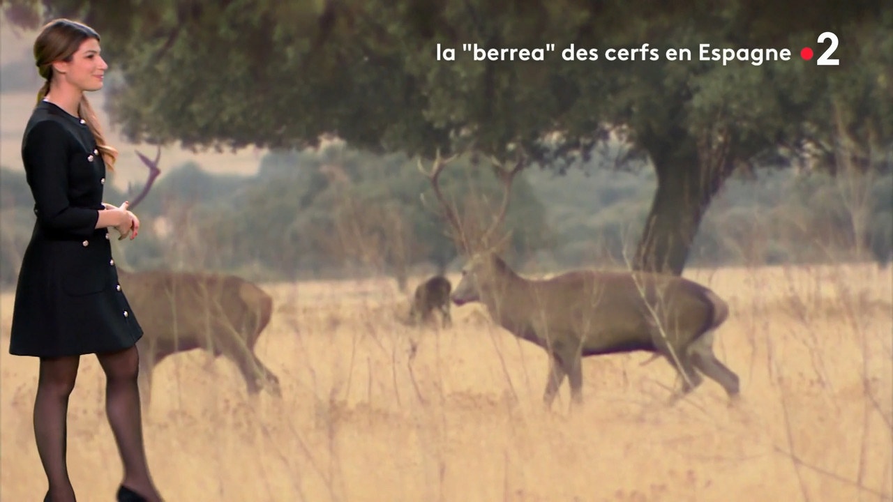 2020-09-30_20_35_Fr2_Meteo.mp4_snapshot_08.40.325