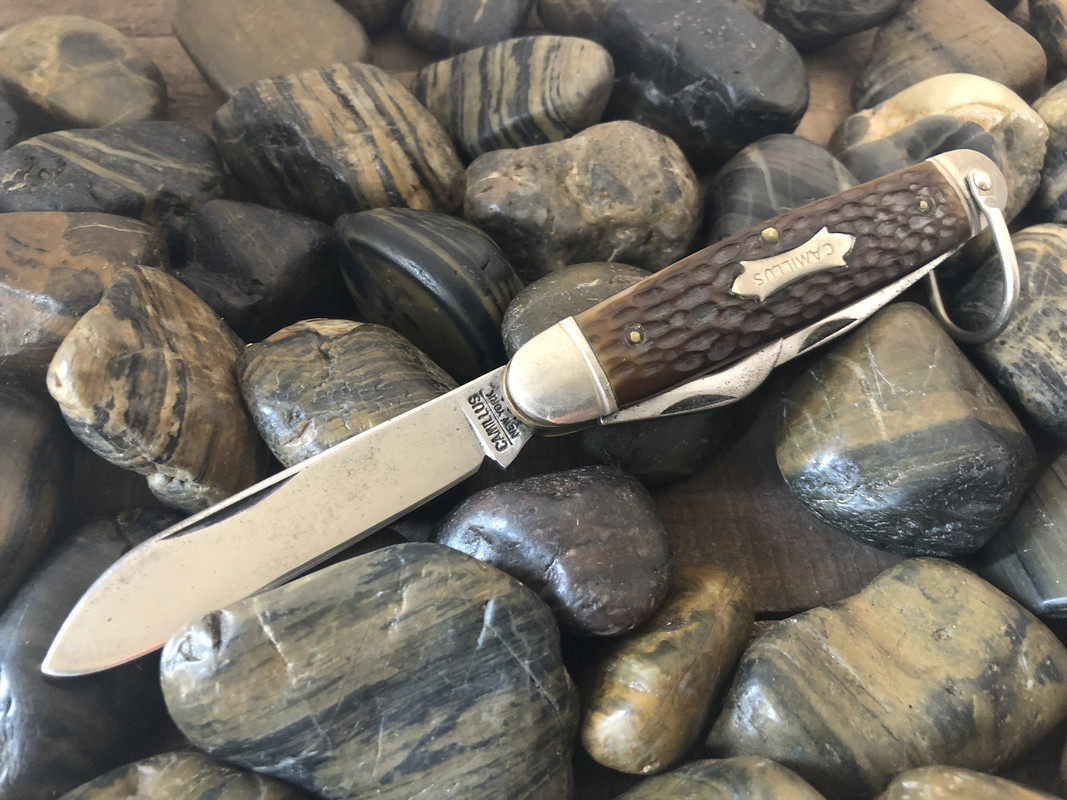 C4F8F470-84E6-4575-86E7-FBBEF0B195A5