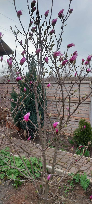 изображение_viber_2024-04-02_18-52-22-609