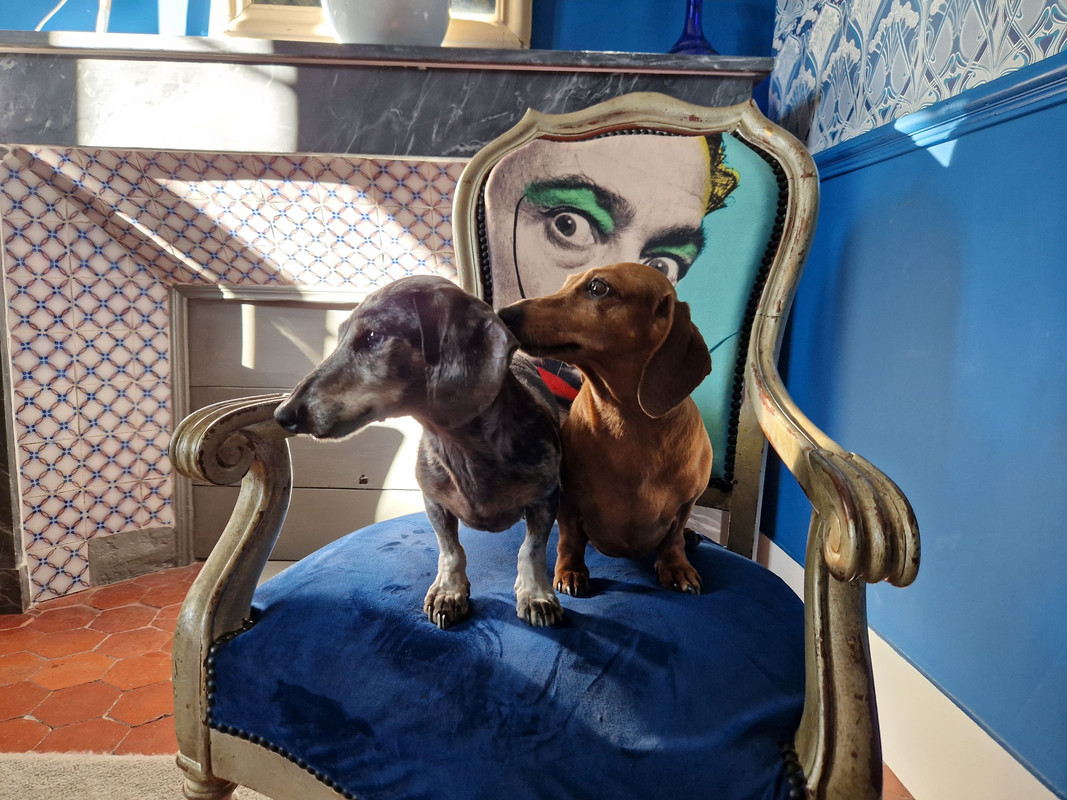 [Image: 20240509-184658.jpg]