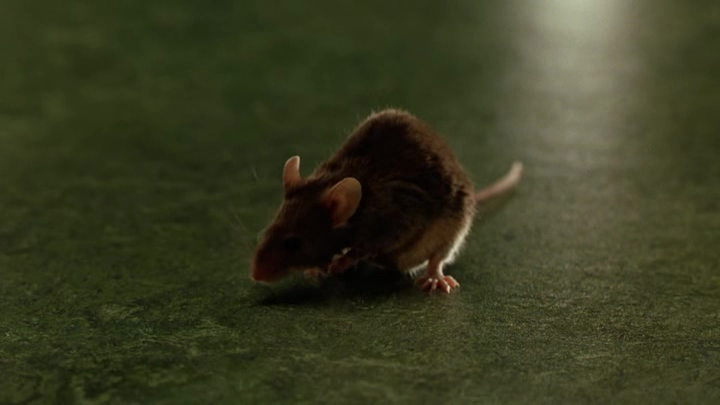 vlcsnap-2015-03-09-15h33m39s46