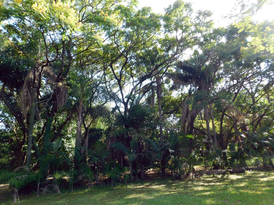 DSCN0317.jpg