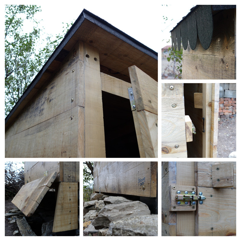 20251007-195935-COLLAGE.jpg