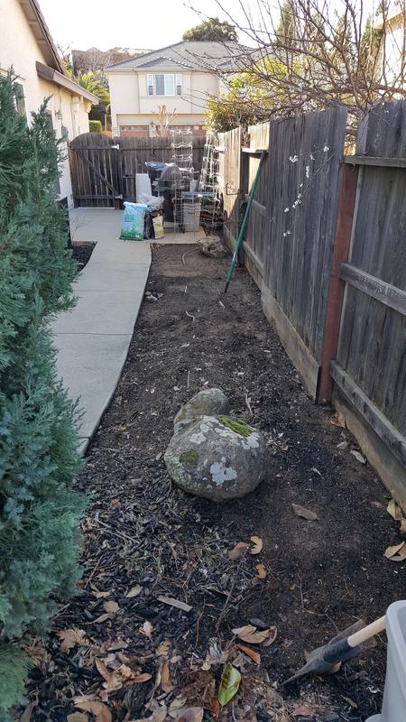 sideyard__20180227_091612