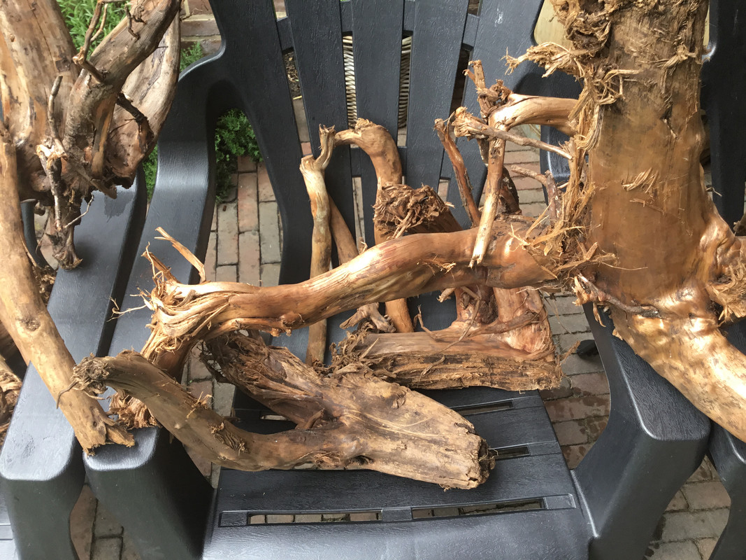 F76C1540-09AE-4FD8-B33D-4FFA965A3F01