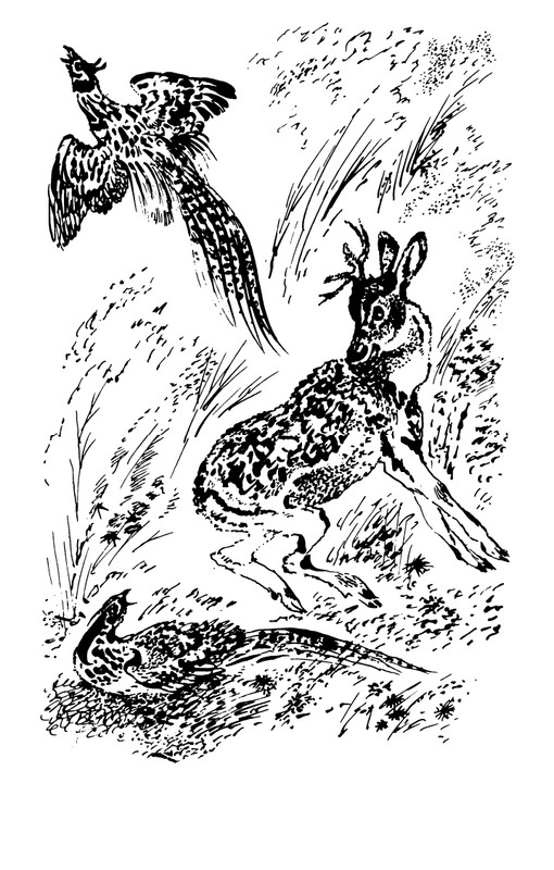1993-page-0135