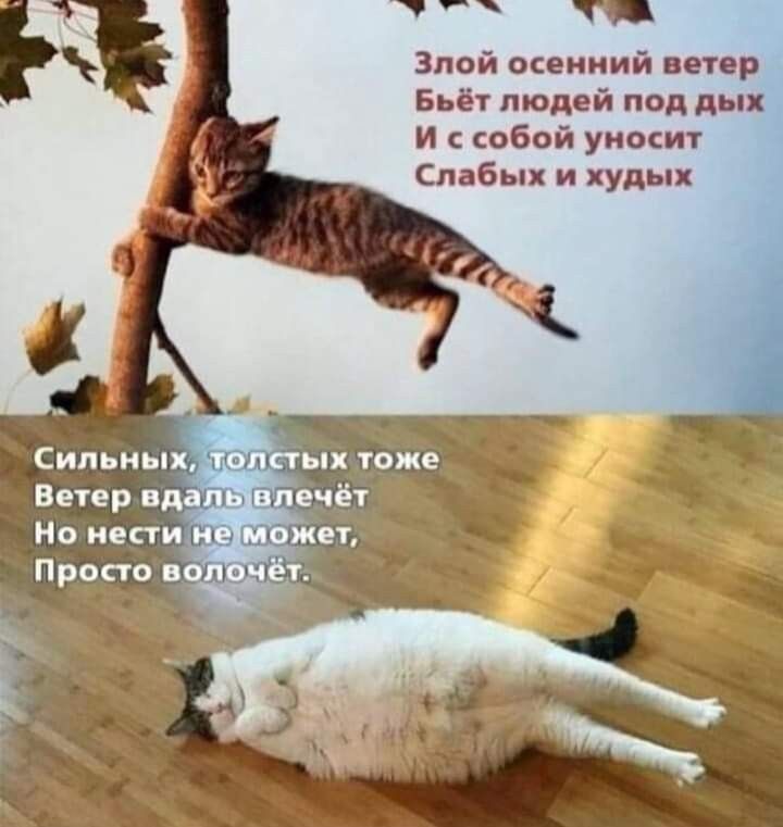 [Изображение: 6770628f16de7b311e17bfecb181676c.jpg]