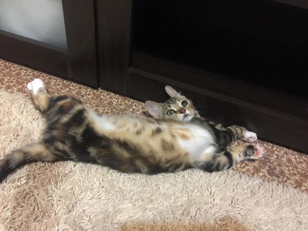 C727FC8F-94DB-4B28-8536-A72DC55614A9