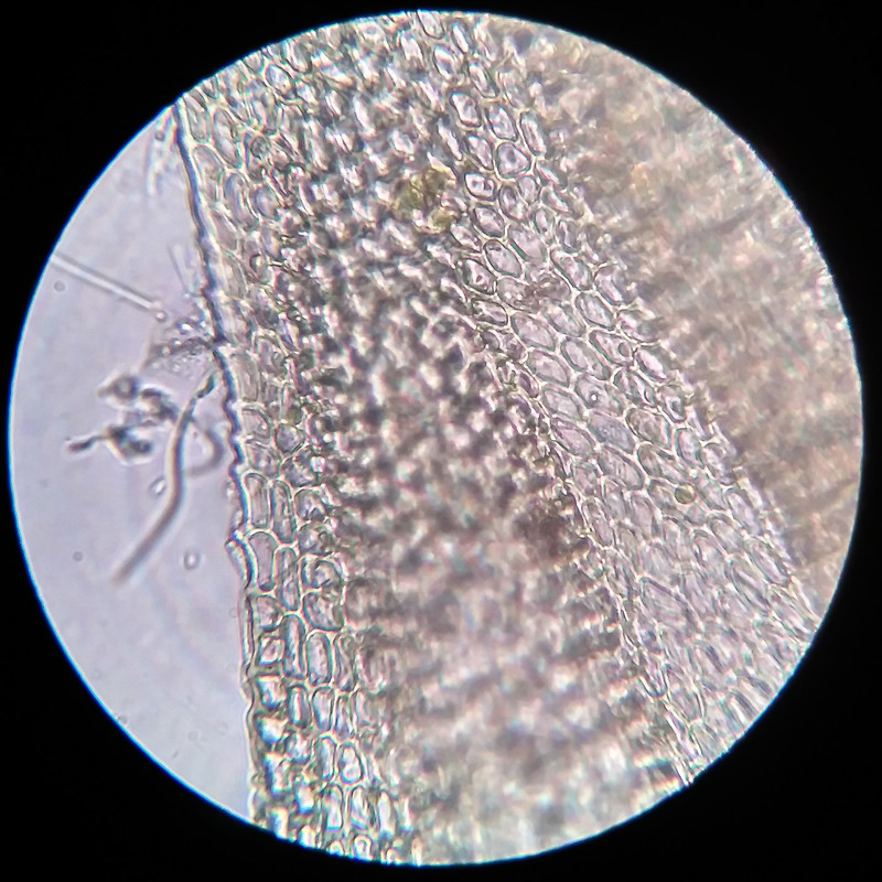 IMG 20250615 220701 HDR