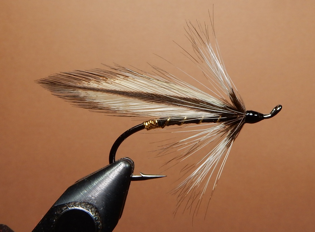 The-Badger-1080.jpg