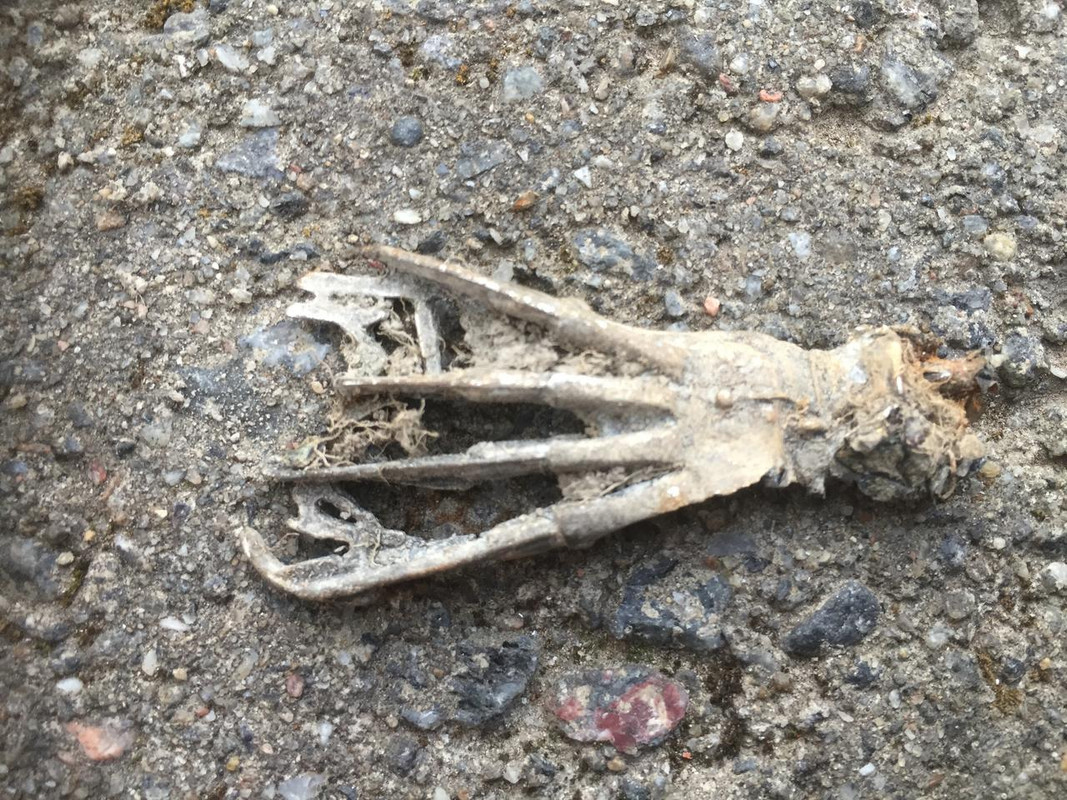 9DB8950B-F36F-44A9-85FD-E7F52844A3B2