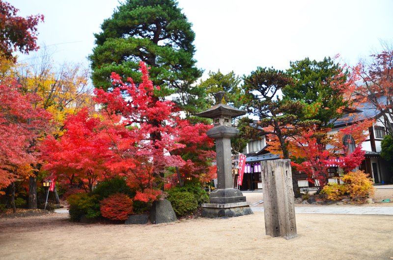 Japón y sus Pueblos-2024 - Blogs de Japon - Matsumoto-13 y 14-11-2024 (20)