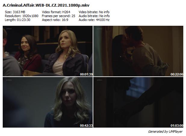 Nespravedlivé obvinění / A Criminal Affair (2021)