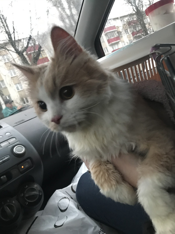 B426D9E9-C65E-4F1B-9D91-6EBF04C7CB58