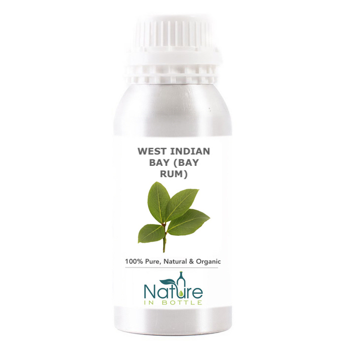 West Indian Bay Rum Essential Oil - Pimenta Racemosa Indies