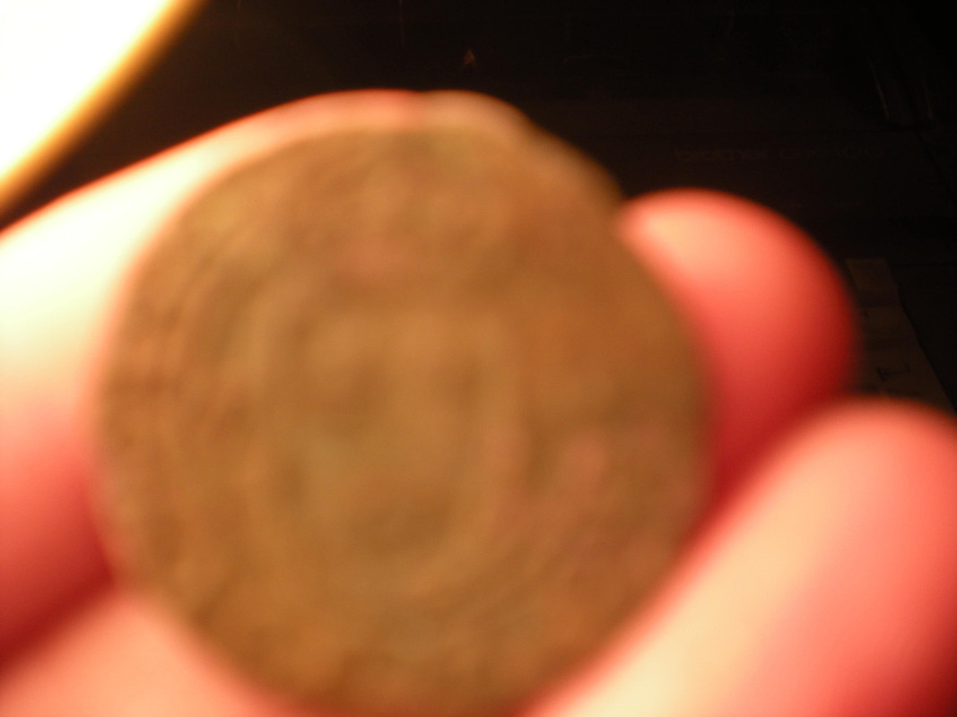 DSCN0957