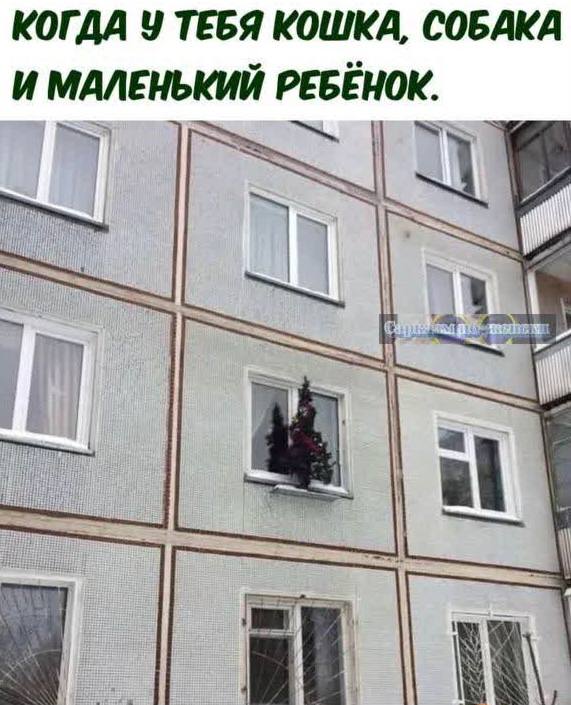 5085F259-E10B-41CF-BD66-9D1B236FFED1