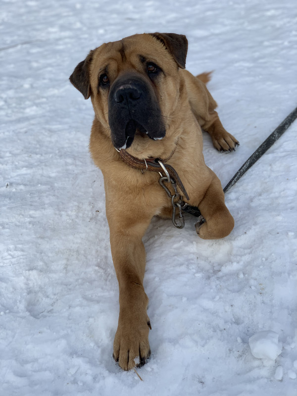 49BC99B4-0257-4E45-A97A-1F4A7A41B054