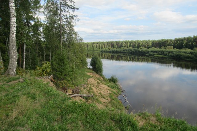 IMG_4579.jpg