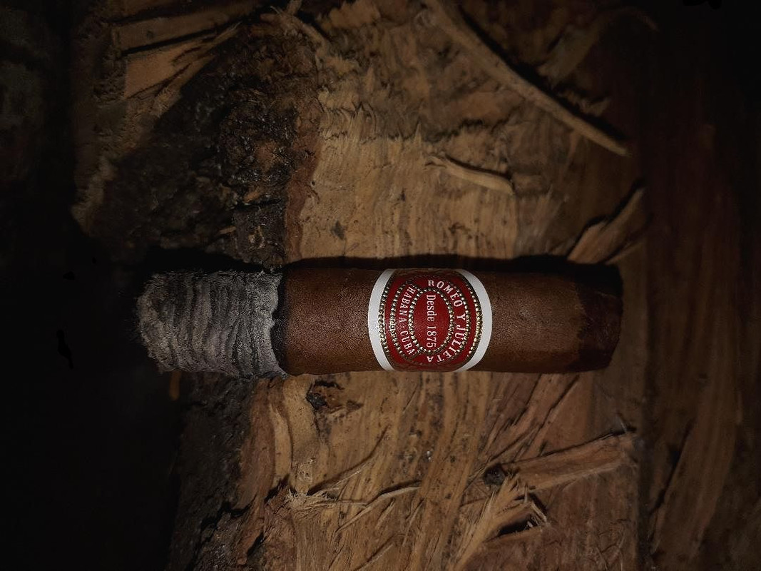 50998175573_87278554c5_o