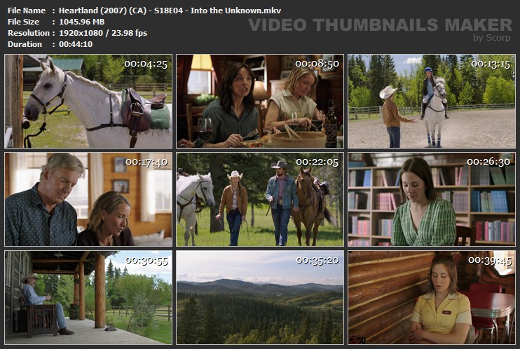Heartland (2007) (CA) - S18E04 - Into the Unknown.mkv
