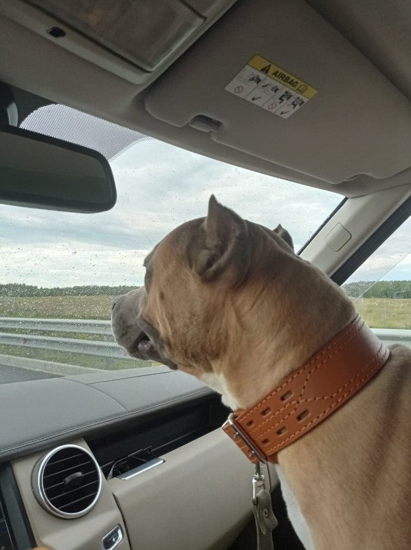 41EAB500-7901-43AE-84B9-7D6B6DC80E63