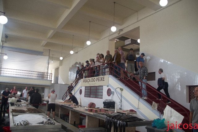 Sexto día, 26 de Noviembre. Madeira - Minidiario de Bitácora IX. Trasatlántico a bordo del MSC Seascape (5)