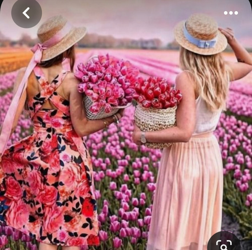 Screenshot_20230919_222040_Pinterest