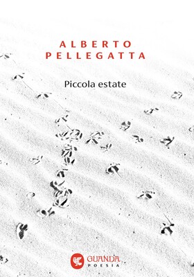 Alberto Pellegatta - Piccola estate (2025)