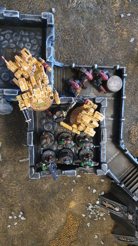 20211101_Salamanders_Taus (19)