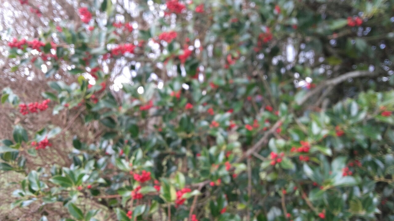 5D6C3141-5D08-4785-BFF2-847475B3D7F7