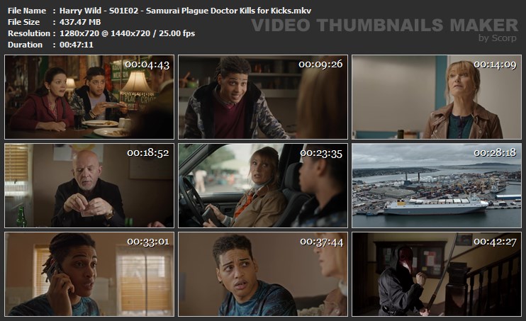 Harry Wild - S01E02 - Samurai Plague Doctor Kills for Kicks.mkv