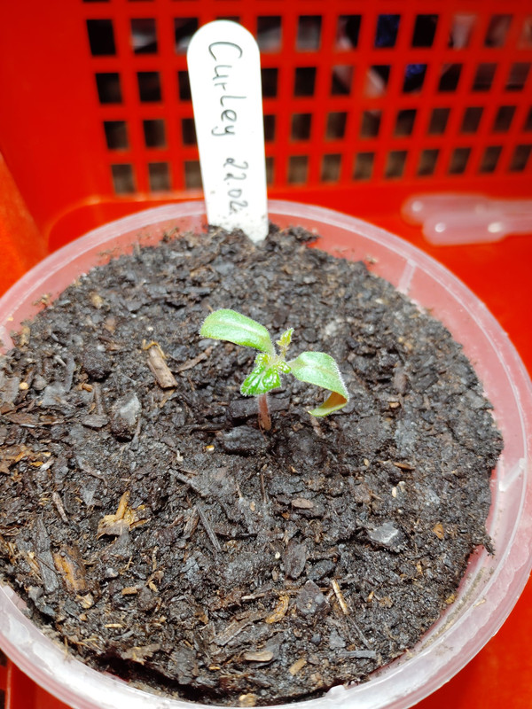 Whats App Image 2026 03 08 at 18 17 00