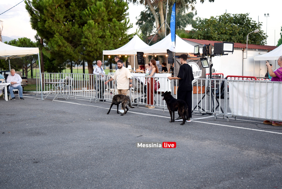 παρκο σκυλιαDSC_0983