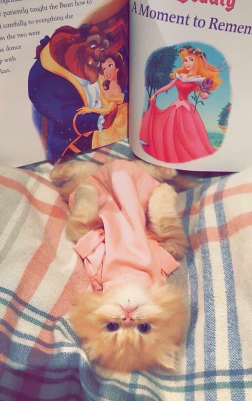 558C17E6-8628-4A5C-B84D-DC1C86098720